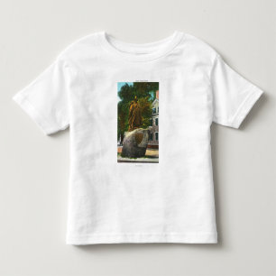 Camiseta De Bebé Vista de la estatua de Rogelio Conant