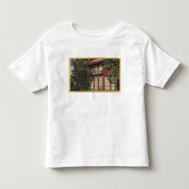 Camiseta De Bebé Vista de la oficina vieja de Wells Fargo (1855) (Anverso)