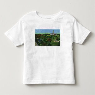 Camiseta De Bebé Vista de los argumentos del capitolio del estado,