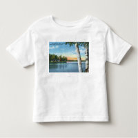 Vista de los argumentos que acampan del estado de