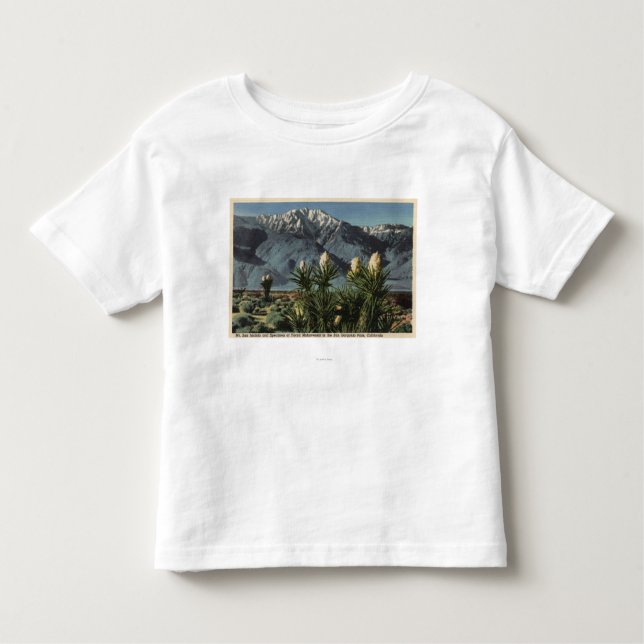 Camiseta De Bebé Vista de Mt. San Jacinto, yuca Mohavensis (Anverso)