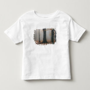 Camiseta De Bebé Vista de otoño de un bosque brumoso, Grandfather 2