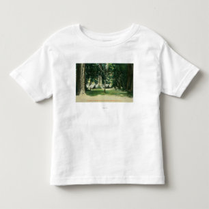 Camiseta De Bebé Vista de un campo en las secoyas