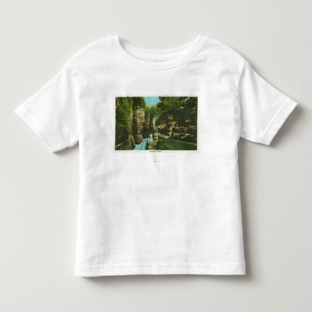 Camiseta De Bebé Vista del abismo de Ausable (Anverso)