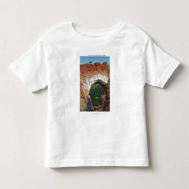 Camiseta De Bebé Vista del arco del Victorian (Anverso)