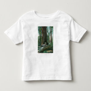 Camiseta De Bebé Vista del carro del caballo debajo del árbol de