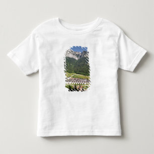 Camiseta De Bebé Vista del complejo del monasterio