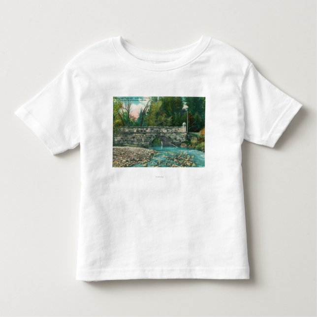 Camiseta De Bebé Vista del condado de Napa BridgeNapa, CA (Anverso)