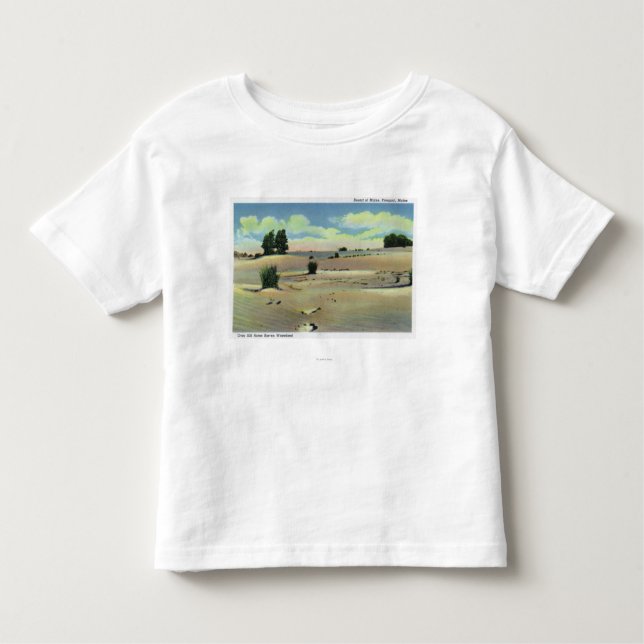 Camiseta De Bebé Vista del desierto de Maine (Anverso)
