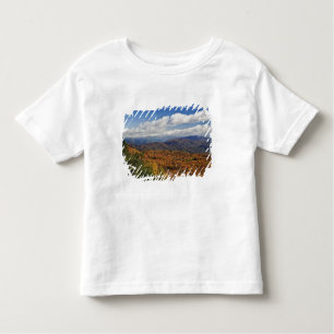 Camiseta De Bebé Vista del otoño de las montañas de los Apalaches d