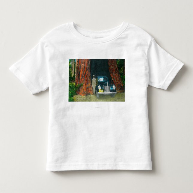 Camiseta De Bebé Vista del parque de estado auto del lavabo de (Anverso)