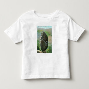 Camiseta De Bebé Vista del parque nacional de Aggassiz