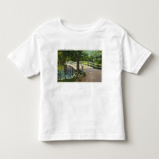 Camiseta De Bebé Vista del puente del norte viejo (Anverso)