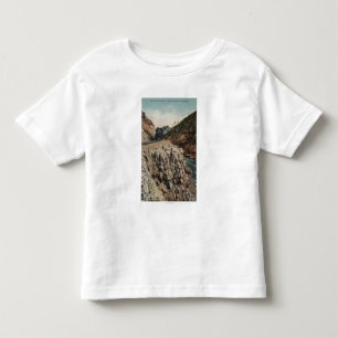 Camiseta De Bebé Vista del tren de Canon de la caja