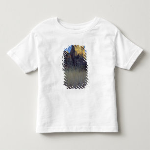Camiseta De Bebé Vista desde la llanura de inundación del río Virgi