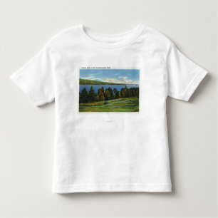 Camiseta De Bebé Vista escénica del lago Cobbosseecontee