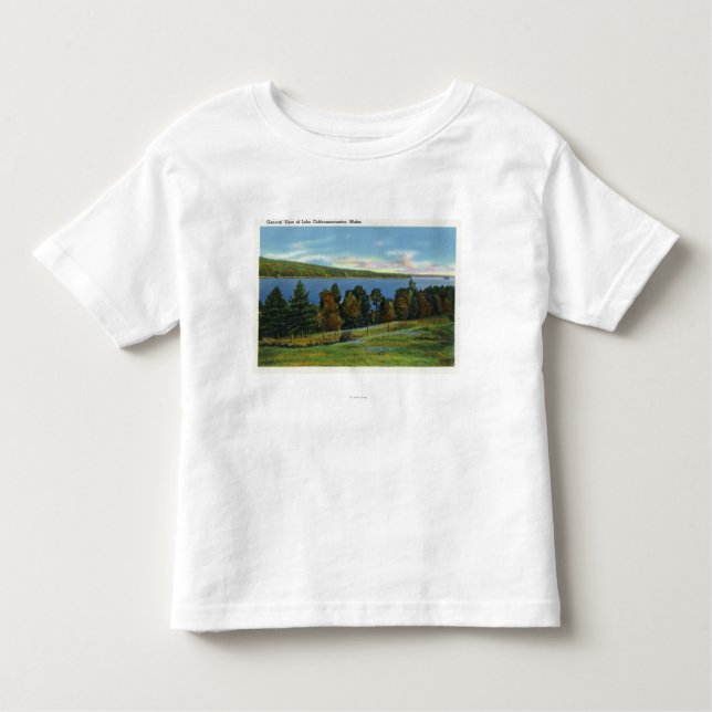 Camiseta De Bebé Vista escénica del lago Cobbosseecontee (Anverso)