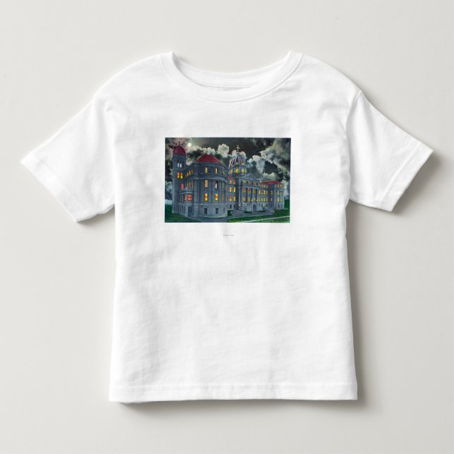 Camiseta De Bebé Vista exterior del edificio santo de la academia (Anverso)