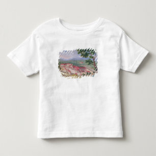 Camiseta De Bebé Vista general de la abadía del este