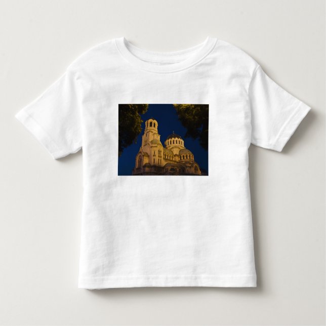 Camiseta De Bebé Vista nocturna de la catedral de Alexander Nevski (Anverso)