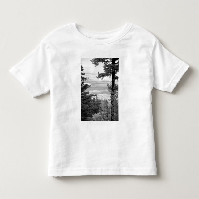 Camiseta De Bebé Vista oeste desde el escudo de Sandia, Montañas, (Anverso)