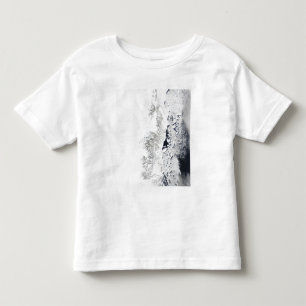 Camiseta De Bebé Vista por satélite de la costa del este de