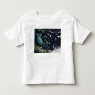 Camiseta De Bebé Vista por satélite de las Islas Bahama