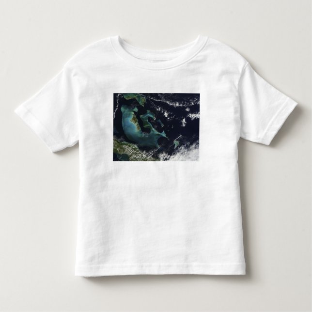 Camiseta De Bebé Vista por satélite de las Islas Bahama (Anverso)