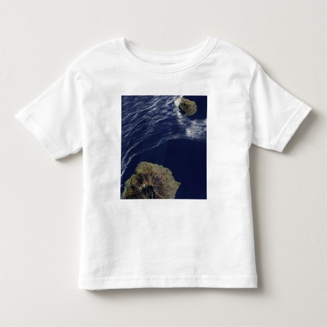 Camiseta De Bebé Vista por satélite de las Islas del Príncipe Eduar (Anverso)