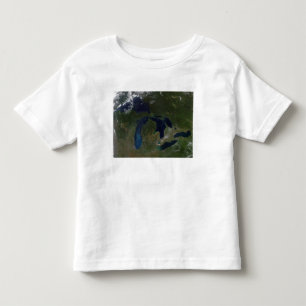 Camiseta De Bebé Vista por satélite de los Great Lakes