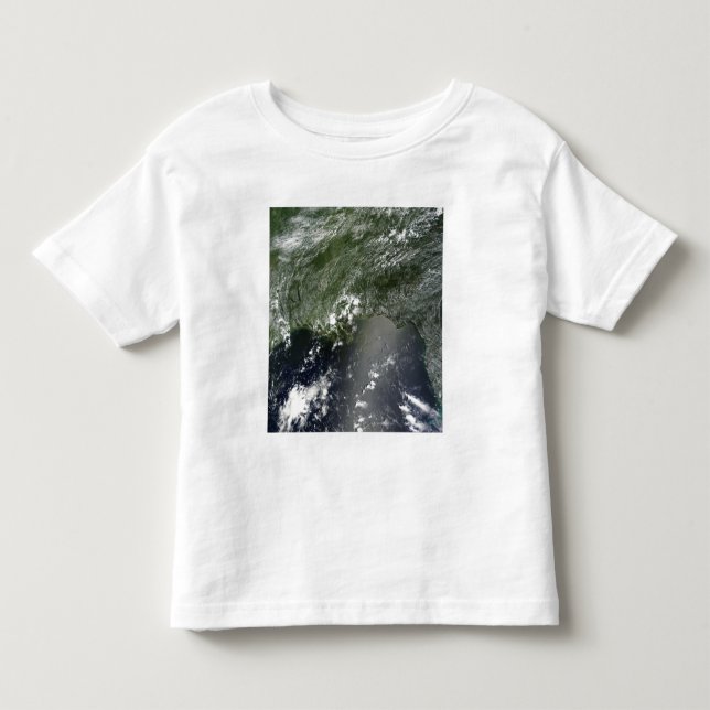 Camiseta De Bebé Vista satelital del Golfo de México 2 (Anverso)