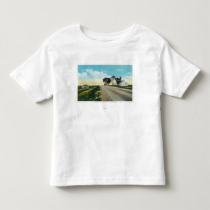 Camiseta De Bebé Vista septentrional del campo de batalla de