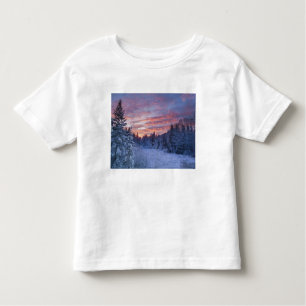 Camiseta De Bebé Vivid sunset pinta el cielo encima del invierno