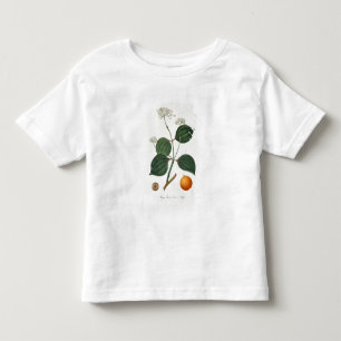 Camiseta De Bebé Vomica de nuez de Strychnos de 'Phytographie