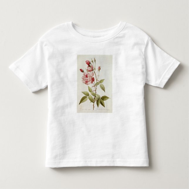 Camiseta De Bebé Vulgaris Indica de Rosa, de los 'rosas de Les (Anverso)