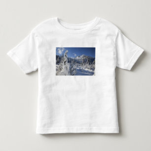 Camiseta De Bebé WA, Alpine Lakes Wilderness, cuenca del lago Snow
