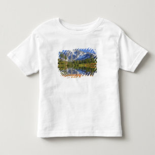 Camiseta De Bebé WA, Área Recreativa Heather Meadows, Mt.