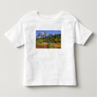 WA, Área Recreativa Heather Meadows, Mt. 2