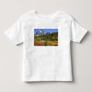 Camiseta De Bebé WA, Área Recreativa Heather Meadows, Mt. 2