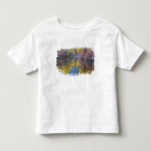 Camiseta De Bebé WA, Bosque Nacional Wenatchee, arroyo Whitepine,