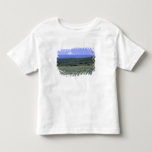 Camiseta De Bebé WA, Condado de Klickitat, Dalles Mountain Ranch,