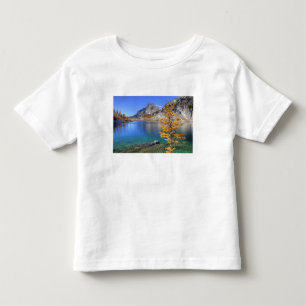 Camiseta De Bebé WA, Desierto Alpino de Lagos, Encantamiento 4