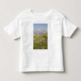 Camiseta De Bebé WA, Mt. Baker Wilderness, Mt. Shuksan y