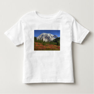 Camiseta De Bebé WA, Parque Nacional del Monte Rainier, Valle del P