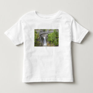Camiseta De Bebé WA, Parque Nacional Mount Rainier, Christine Falls