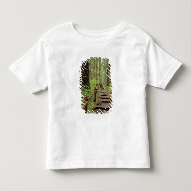 Camiseta De Bebé WA, Parque Nacional Olímpico, Valle de Sol Duc, bo (Anverso)