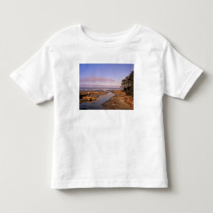 Camiseta De Bebé WA, Parque Nacional Olympic, playa Kalaloch y Kala