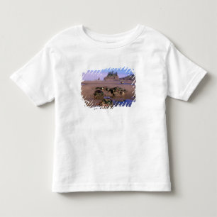 Camiseta De Bebé WA, PN de Olympic, Segunda Playa con charcos de ma