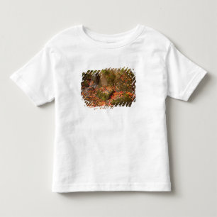 Camiseta De Bebé WA, Seattle, Arboreto del Parque Washington, Japon