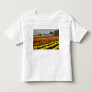Camiseta De Bebé WA, Skagit Valley, campos Tulip en flor, en